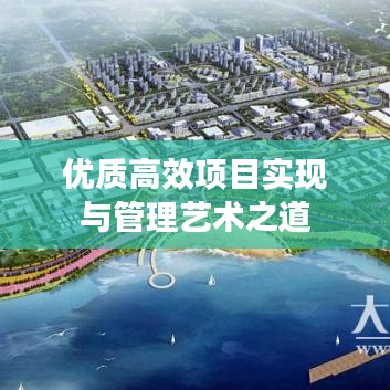 优质高效项目实现与管理艺术之道