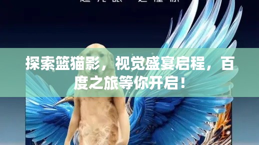 探索篮猫影,视觉盛宴启程,百度之旅等你开启!