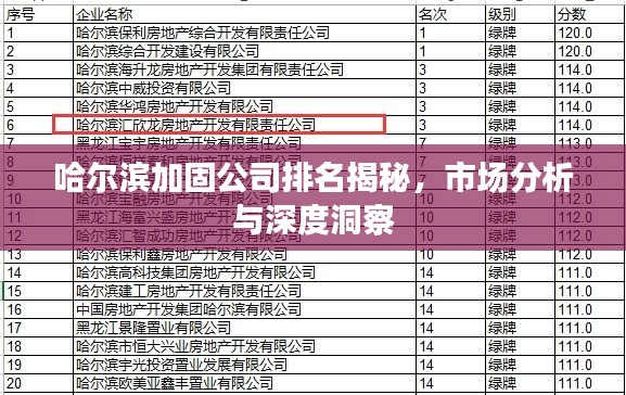 哈尔滨加固公司排名揭秘,市场分析与深度洞察