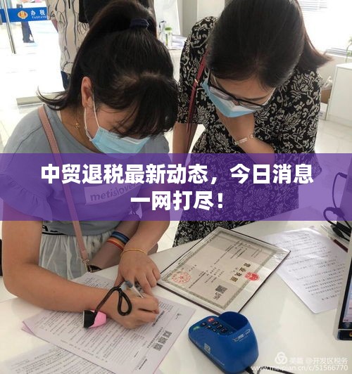 中贸退税最新动态,今日消息一网打尽!