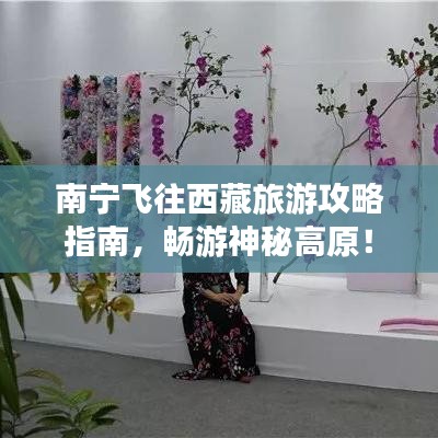 南宁飞往西藏旅游攻略指南,畅游神秘高原!