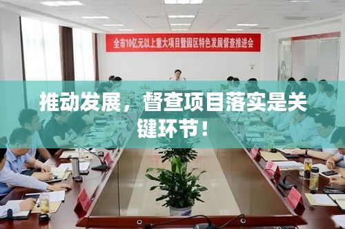 推动发展,督查项目落实是关键环节!