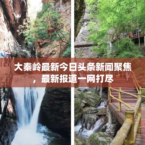 大秦岭最新今日头条新闻聚焦,最新报道一网打尽