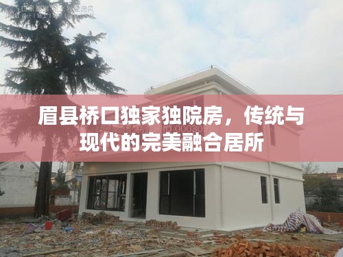 因陋就简 第2页
