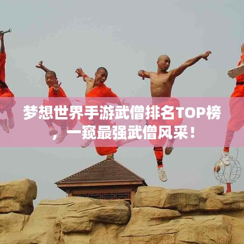 梦想世界手游武僧排名TOP榜,一窥最强武僧风采!