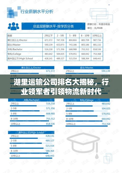 湖里运输公司排名大揭秘,行业领军者引领物流新时代