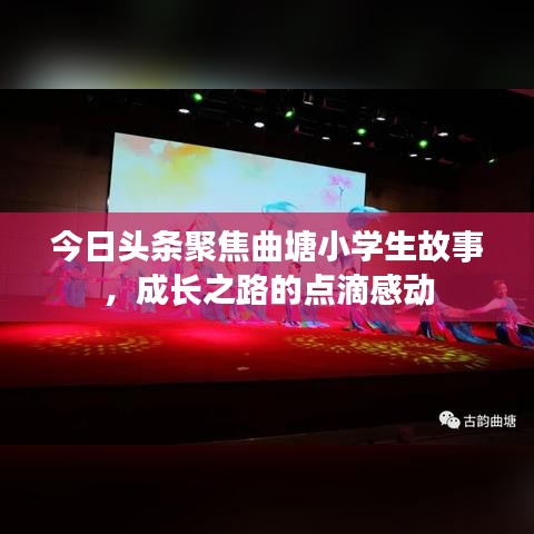 今日头条聚焦曲塘小学生故事,成长之路的点滴感动