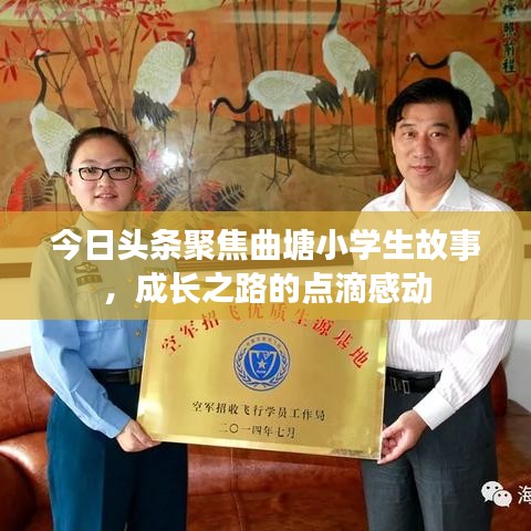 今日头条聚焦曲塘小学生故事,成长之路的点滴感动