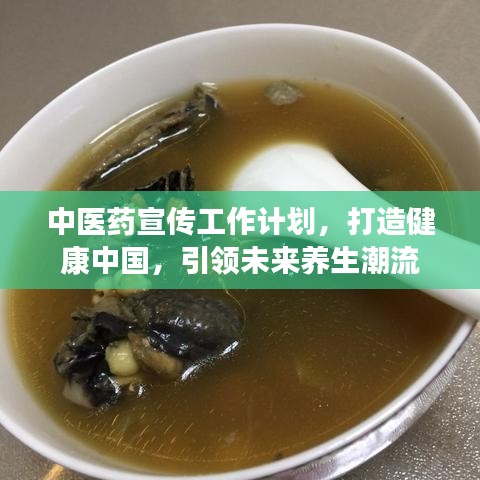 中医药宣传工作计划,打造健康中国,引领未来养生潮流