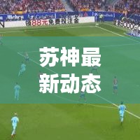 苏神最新动态,今日消息速递,热点新闻头条