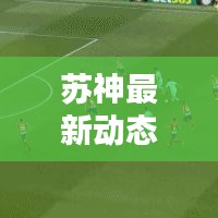 苏神最新动态,今日消息速递,热点新闻头条