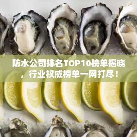 防水公司排名TOP10榜单揭晓,行业权威榜单一网打尽!