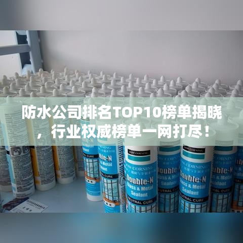防水公司排名TOP10榜单揭晓,行业权威榜单一网打尽!
