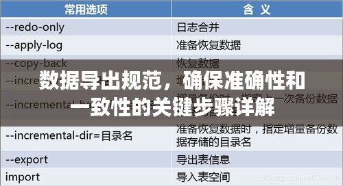 数据导出规范,确保准确性和一致性的关键步骤详解