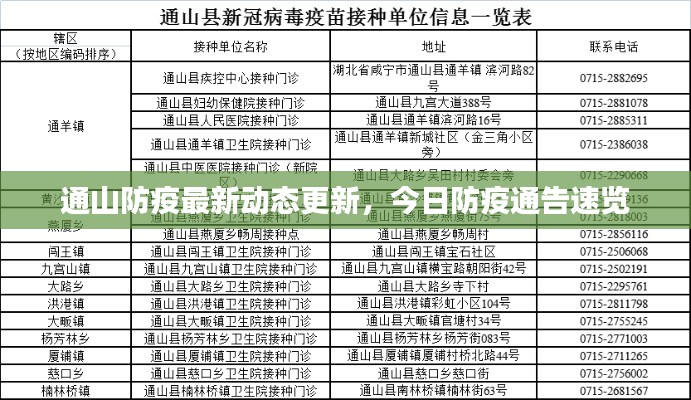 通山防疫最新动态更新,今日防疫通告速览