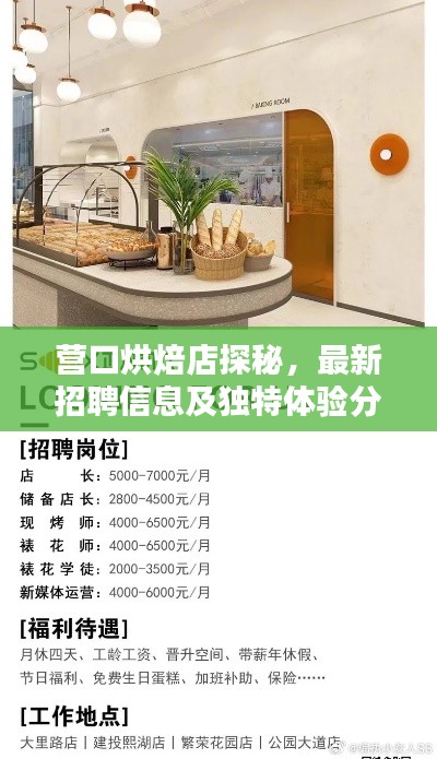 营口烘焙店探秘,最新招聘信息及独特体验分享