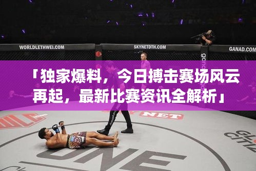 「独家爆料,今日搏击赛场风云再起,最新比赛资讯全解析」