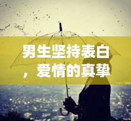 男生坚持表白,爱情的真挚与勇气展现