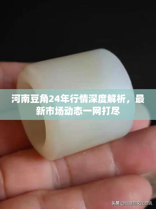 河南豆角24年行情深度解析,最新市场动态一网打尽