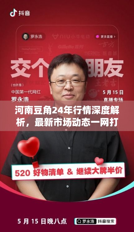 河南豆角24年行情深度解析,最新市场动态一网打尽