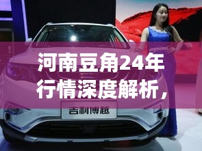 河南豆角24年行情深度解析,最新市场动态一网打尽