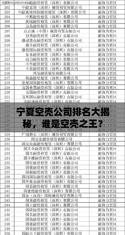 宁夏空壳公司排名大揭秘,谁是空壳之王?