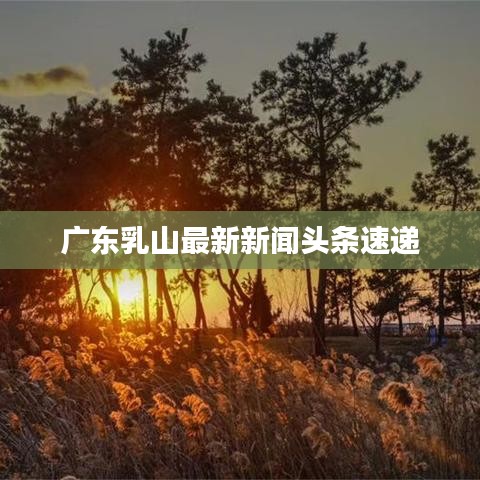 广东乳山最新新闻头条速递