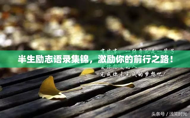 半生励志语录集锦,激励你的前行之路!