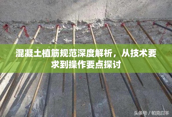 混凝土植筋规范深度解析,从技术要求到操作要点探讨