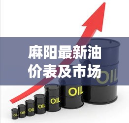 麻阳最新油价表及市场动态深度解析