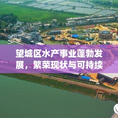 望城区水产事业蓬勃发展,繁荣现状与可持续发展未来