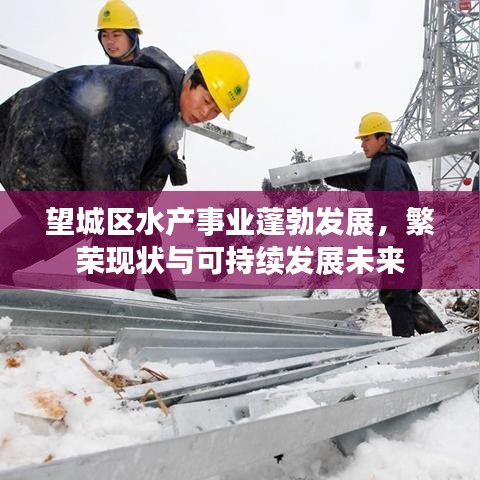 望城区水产事业蓬勃发展,繁荣现状与可持续发展未来