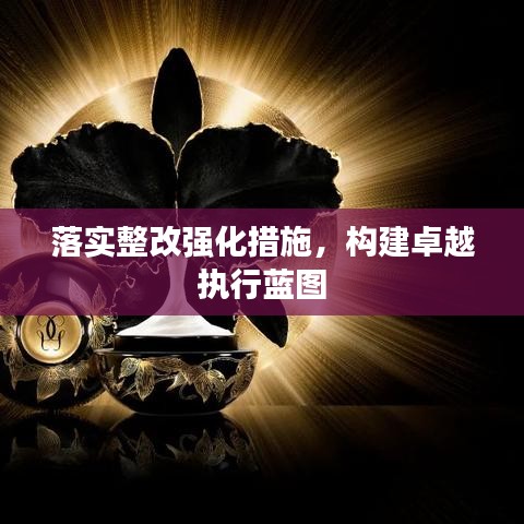 落实整改强化措施,构建卓越执行蓝图