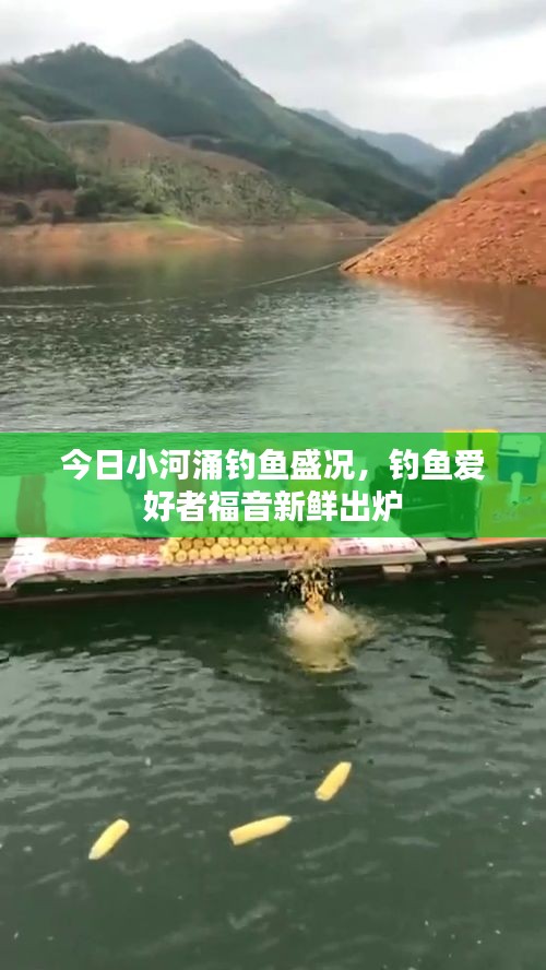 今日小河涌钓鱼盛况,钓鱼爱好者福音新鲜出炉