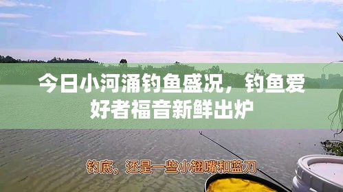 今日小河涌钓鱼盛况,钓鱼爱好者福音新鲜出炉