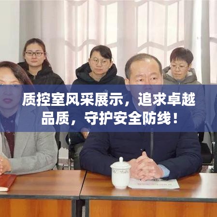 质控室风采展示,追求卓越品质,守护安全防线!