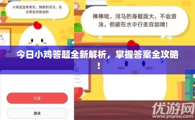 今日小鸡答题全新解析,掌握答案全攻略!