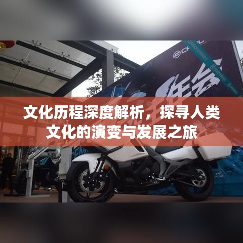 文化历程深度解析,探寻人类文化的演变与发展之旅