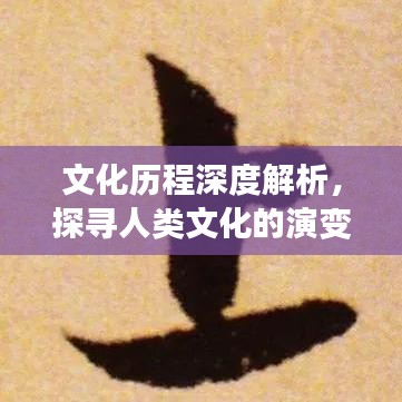 文化历程深度解析,探寻人类文化的演变与发展之旅
