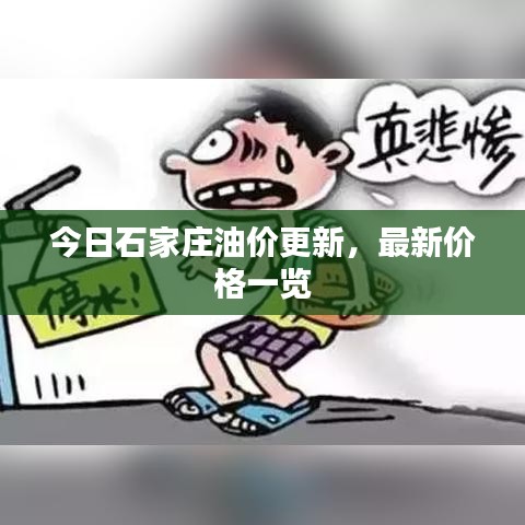 今日石家庄油价更新,最新价格一览