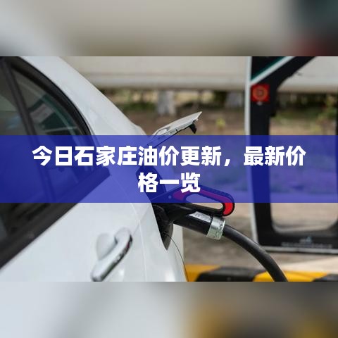 今日石家庄油价更新,最新价格一览