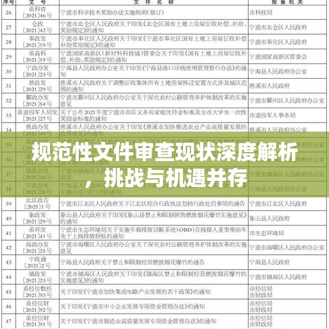 规范性文件审查现状深度解析,挑战与机遇并存