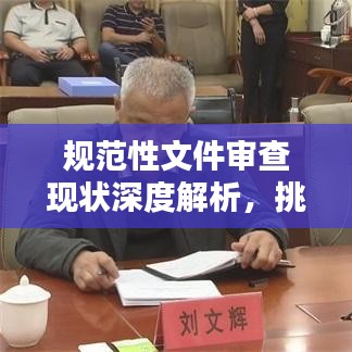 规范性文件审查现状深度解析,挑战与机遇并存