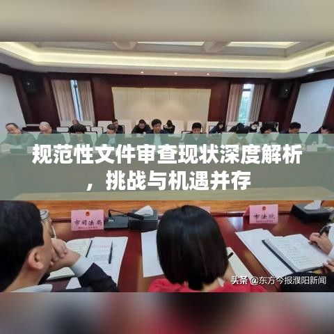 规范性文件审查现状深度解析,挑战与机遇并存