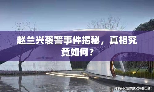赵兰兴袭警事件揭秘,真相究竟如何?
