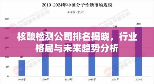 核酸检测公司排名揭晓,行业格局与未来趋势分析
