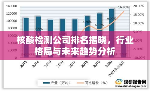 核酸检测公司排名揭晓,行业格局与未来趋势分析