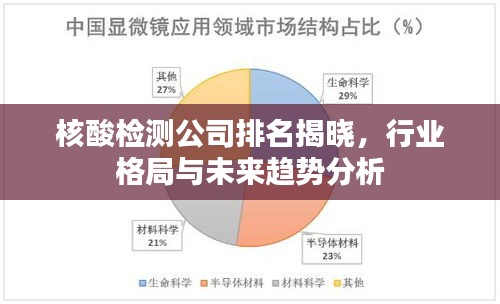 核酸检测公司排名揭晓,行业格局与未来趋势分析