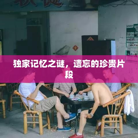 独家记忆之谜,遗忘的珍贵片段