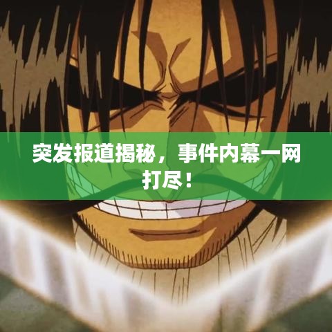 突发报道揭秘,事件内幕一网打尽!